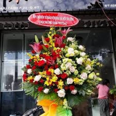 shop hoa tuoi tt cay duong phung hiep hau giang