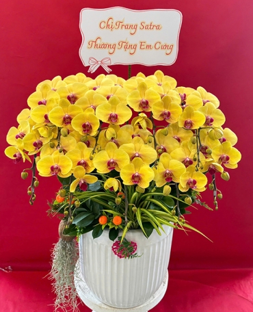 shop hoa tuoi xa hong loc ha tinh dat hoa online giao tan noi