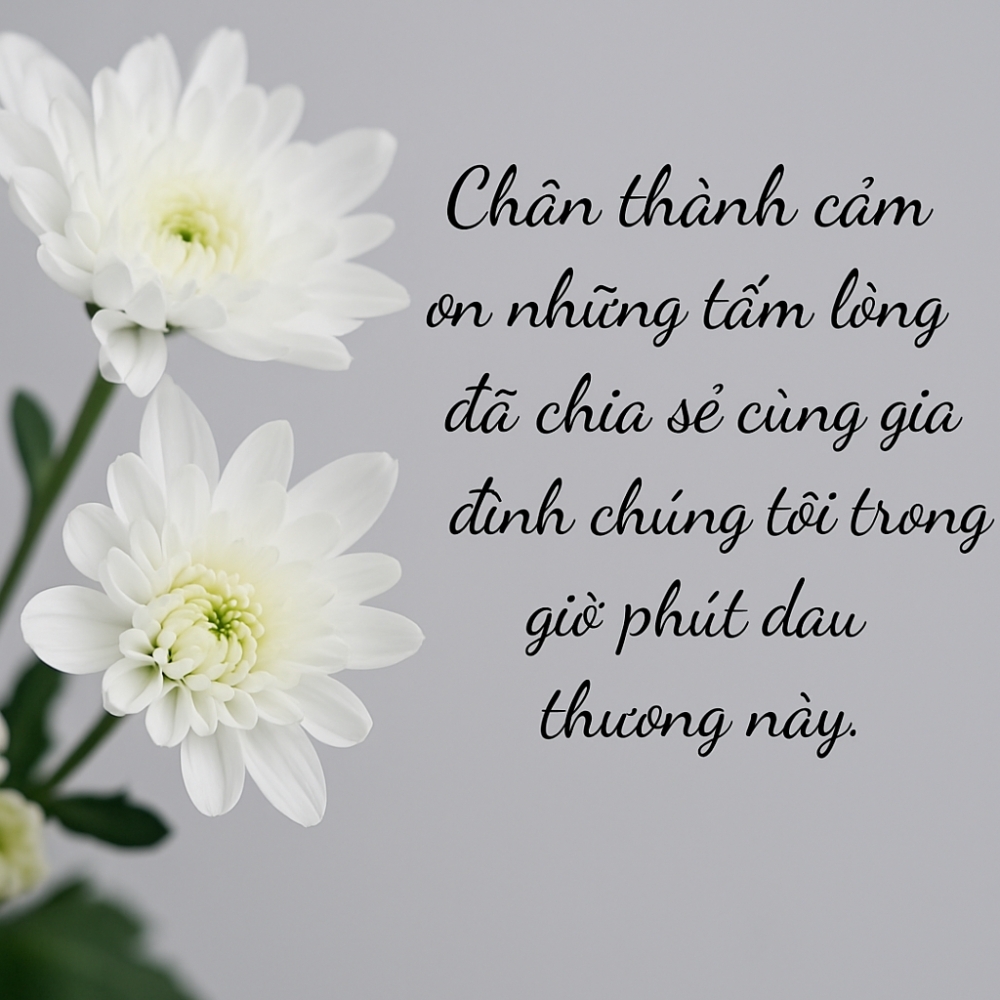 loi cam on sau dam tang