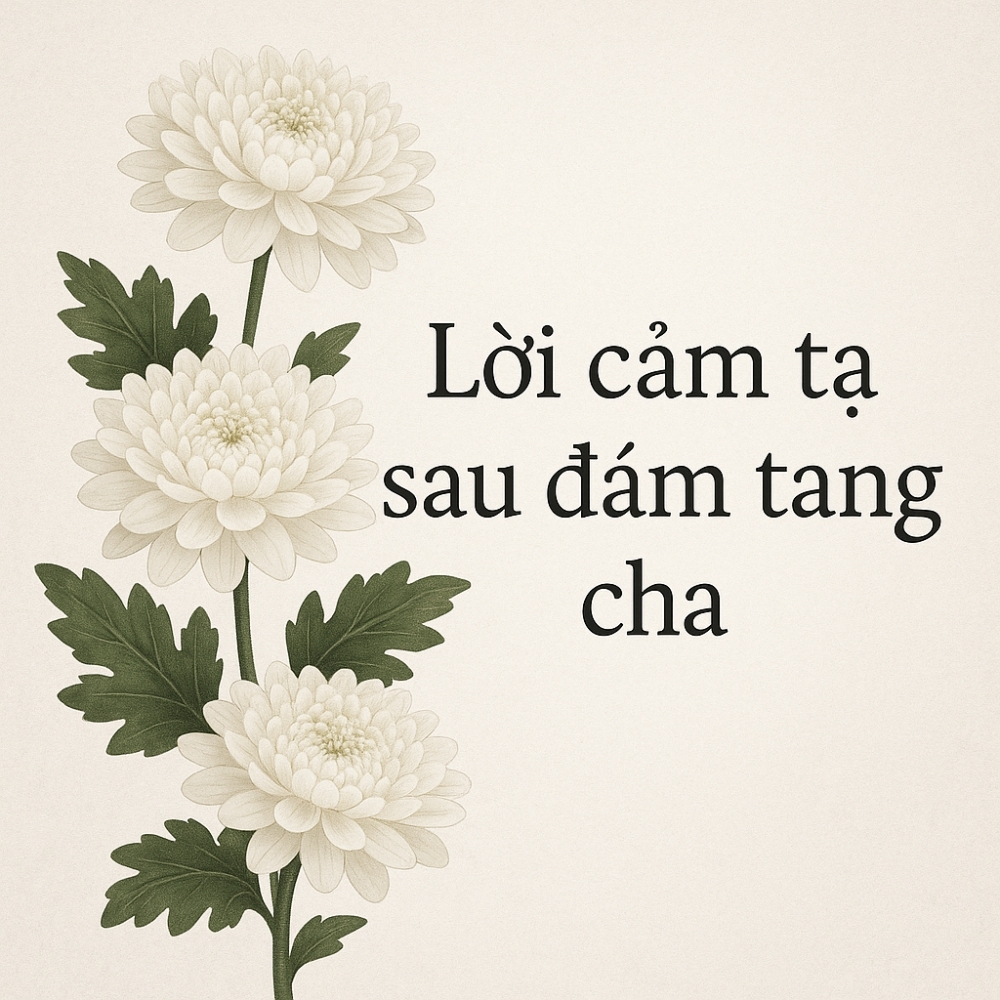 loi cam ta sau dam tang cha