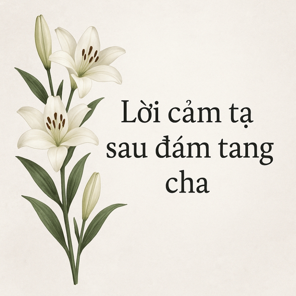 loi cam ta sau dam tang cha