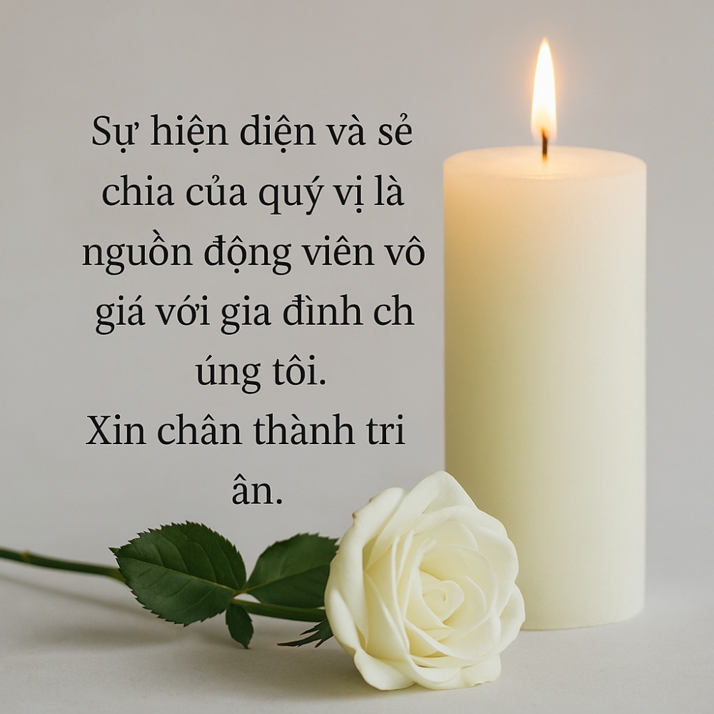 loi cam ta sau dam tang me