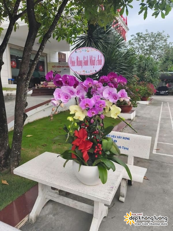 shop hoa lan ho diep vinh cuu